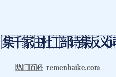 集千家注杜工部诗集反义词是什么意思的图片